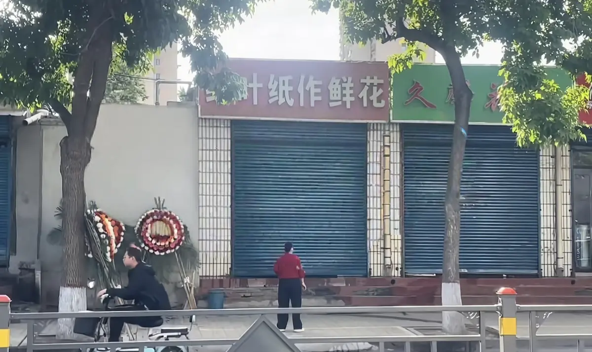 《原平纸作鲜花店门口视频》HD高清完整版-原平纸作鲜花店门口视频在线观看免费播放-无广告流畅播放夸克/迅雷网盘资源下载