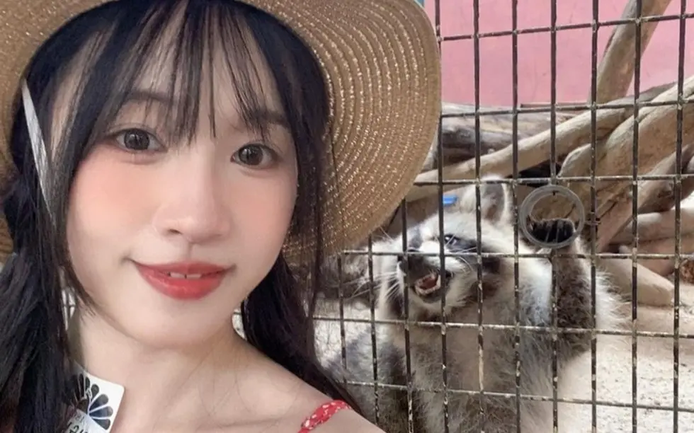 《苏畅》相关资源图片