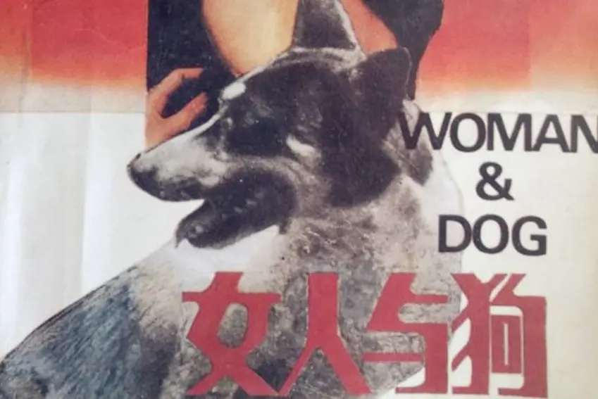 女人与狗俄罗斯电影完整版无删减在线看-《女人与狗》HD1080P高清播放-全集大结局