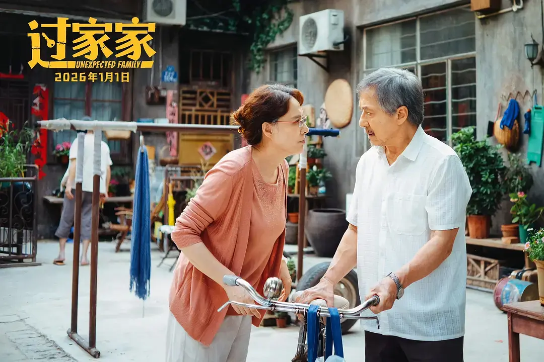 《过家家》电影免费在线观看-高清无删减版完整播放-手机在线看《过家家》全集-国剧影院