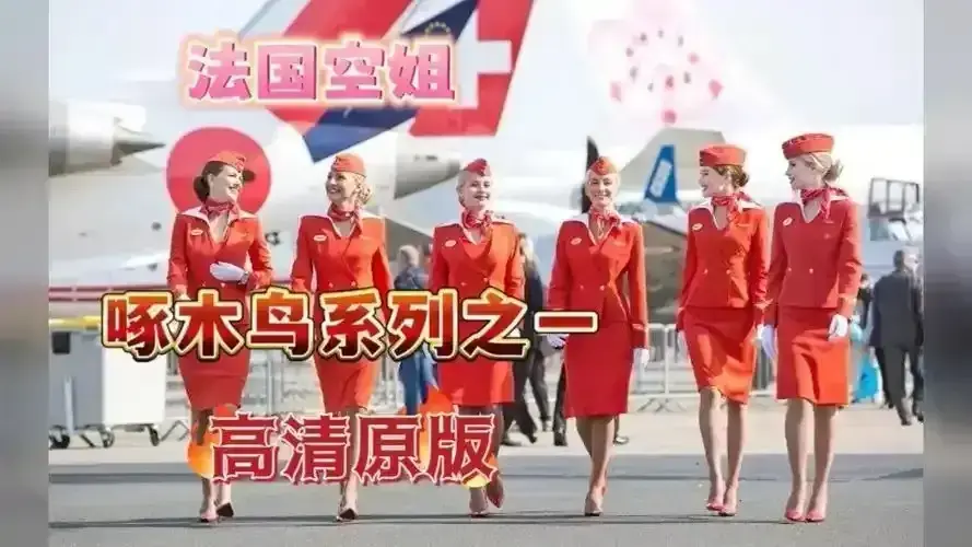 免费观看《法国空姐2019/不雅空乘》无删减高清版-《法国空姐2019/不雅空乘》全片国语中字在线播放-完整未裁剪资源