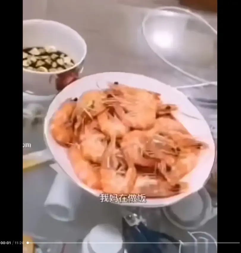 《大虾母子厨房完整版》高清视频百度网盘资源在线看-免费观看猎奇视频-揭开神秘面纱-来龙去脉一看视频就明白