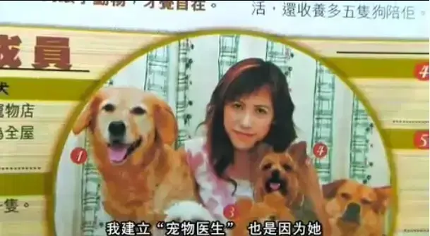 《女人与狗》HD高清无删减版免费播放-欧美电影女人与狗1080P超清在线观看-中文字幕完整正片-支持手机电脑无广告流畅观影