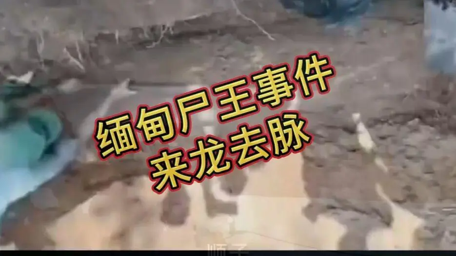 《缅甸僵尸出土事件视频》完整版资源下载 - 诡异真相解密全程录像 - 缅北僵尸出土事件原视频高清在线观看