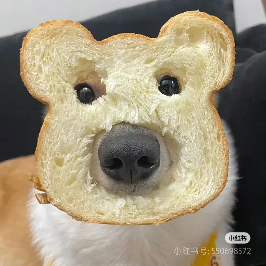 资源图片