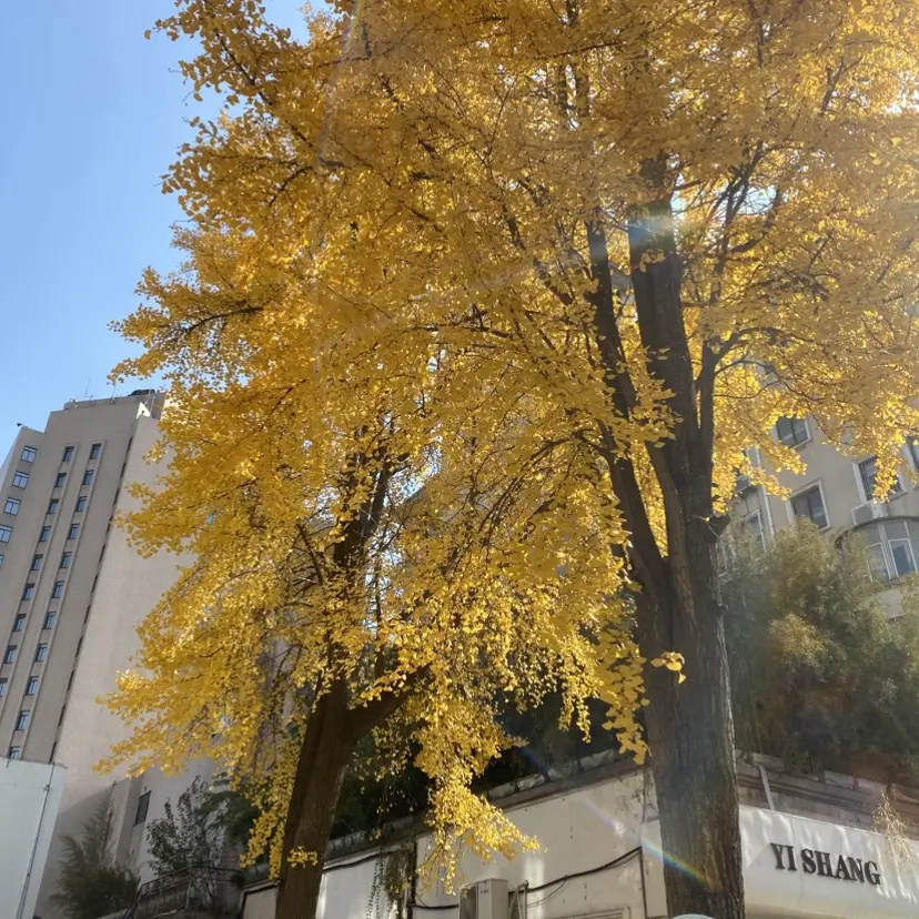 《婚婚逢她》短剧未删减全集在线播放-《婚婚逢她》1080P高清完整版免费看-海城豪门联姻短剧资源