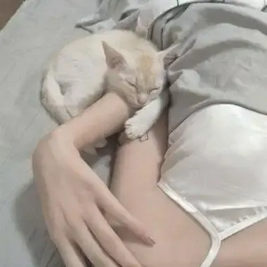 森泽佳奈1080P蓝光高清全集未删减中文配音版在线观看-免费网盘下载资源